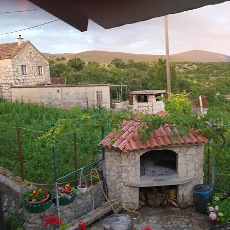 Brnara Kravarica * Vrlika